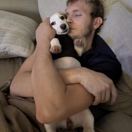 Dachshund All Grown Up from Doxie Bunch