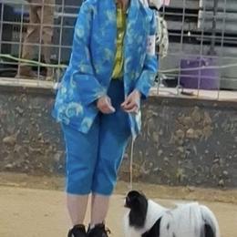 Chihuahua and Japanese Chin All Grown Up from Gift of Gods Favor