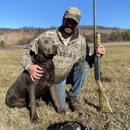 Dilute Retrievers, Labradoodles, and Labrador Retrievers from Bitterbrush Farm & Apiary