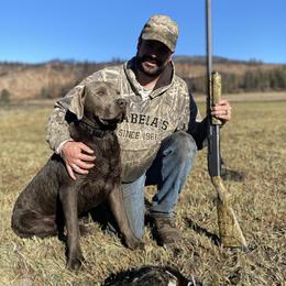Dilute Retrievers, Labradoodles, and Labrador Retrievers from Bitterbrush Farm & Apiary