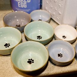 French Bulldog Puppies from Camp Fine Frenchies