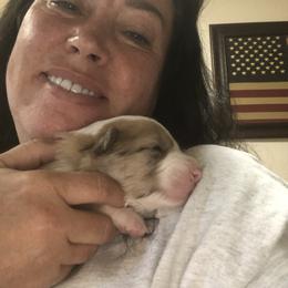 Border Collie Puppies from Burke BC’s