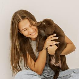 Labrador Retriever Puppies from UC Labradors LLC