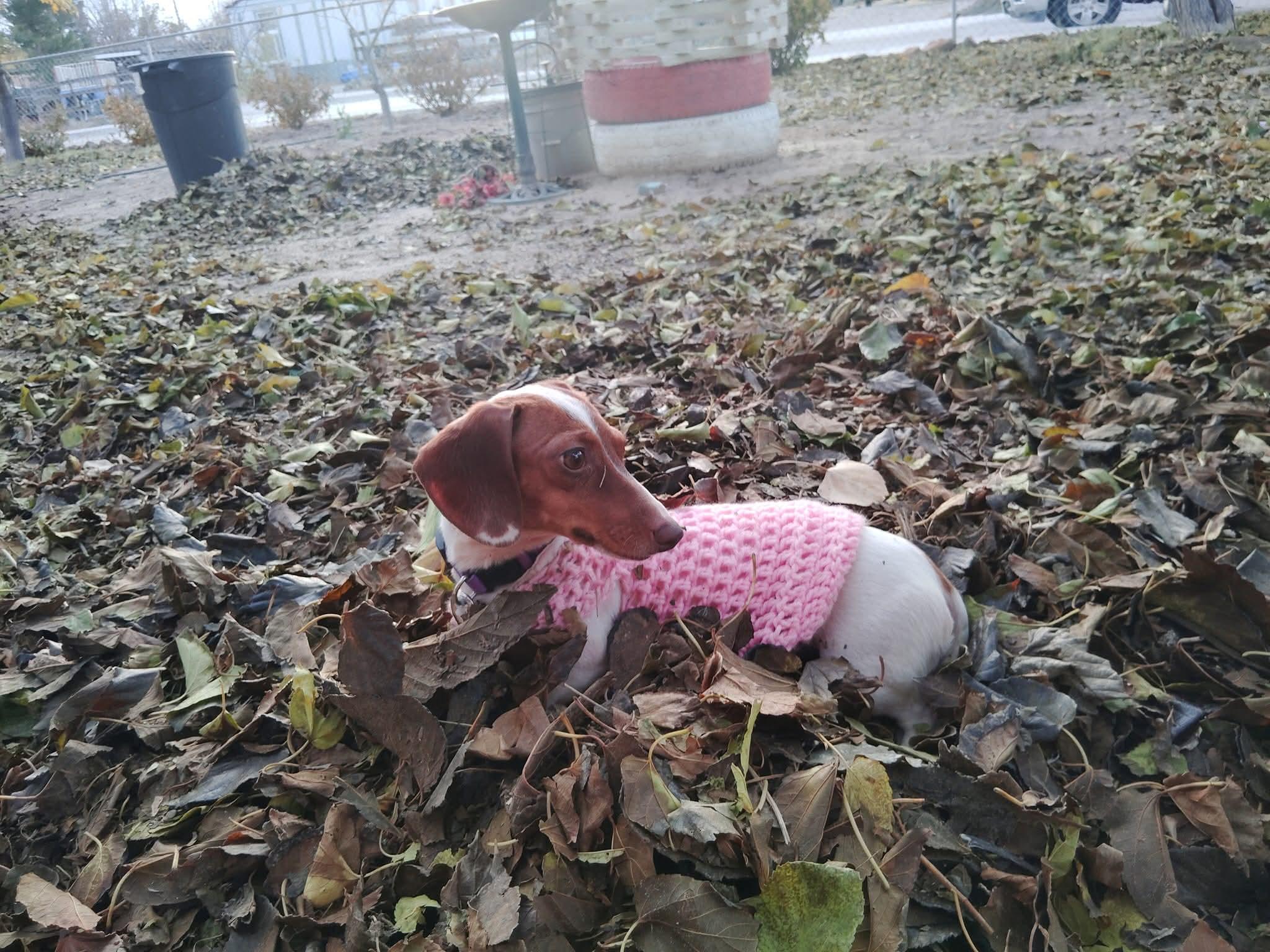 Molly
