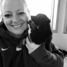 Australian Shepherd Puppies from Summit Australian Shepherds