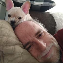French Bulldog Puppies from Dunromin Farm