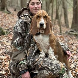 Raven - Basset Hound