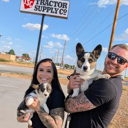 Emily Gilmore - Blue female Pembroke Welsh Corgi puppy in Paden, Oklahoma from Sunray Ranch