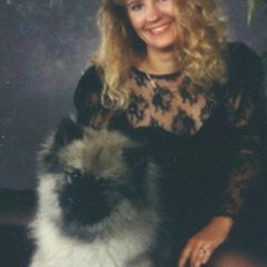 Keeshonden from Markwright Keeshond