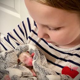 SmithDoodles GIRL 2 - Cream female Goldendoodle puppy in Portland, Oregon from Smith Family Doodles