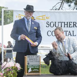 Scottish Terriers from Scottish Terriers at The Rock