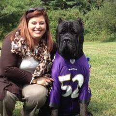 Miniature Schnauzers from Ernhart & Oblivion