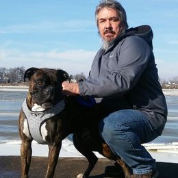 Lambeau - Boxer