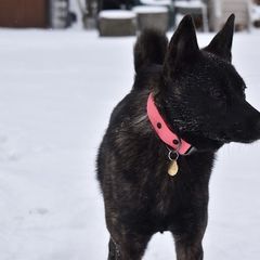 Echo - Kai Ken