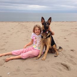 German Shepherd Puppies from Trick Dog & Farm Dog Certified & Urban Canine Good Citizen