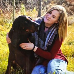 Black and Tan Coonhounds and Pointers from Oldtown Hounds & Pointers