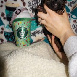 Latte - Black and red female German Shepherd puppy in Charlotte, North Carolina from In Stride Shepherds