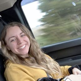 English Springer Spaniel Puppies from Hometown Springers