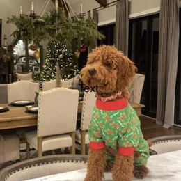 Goldendoodle Puppies from Proctor’s Petite Goldendoodles