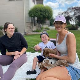 Cockapoo Puppies from Maple’s Cockapoo Puppies