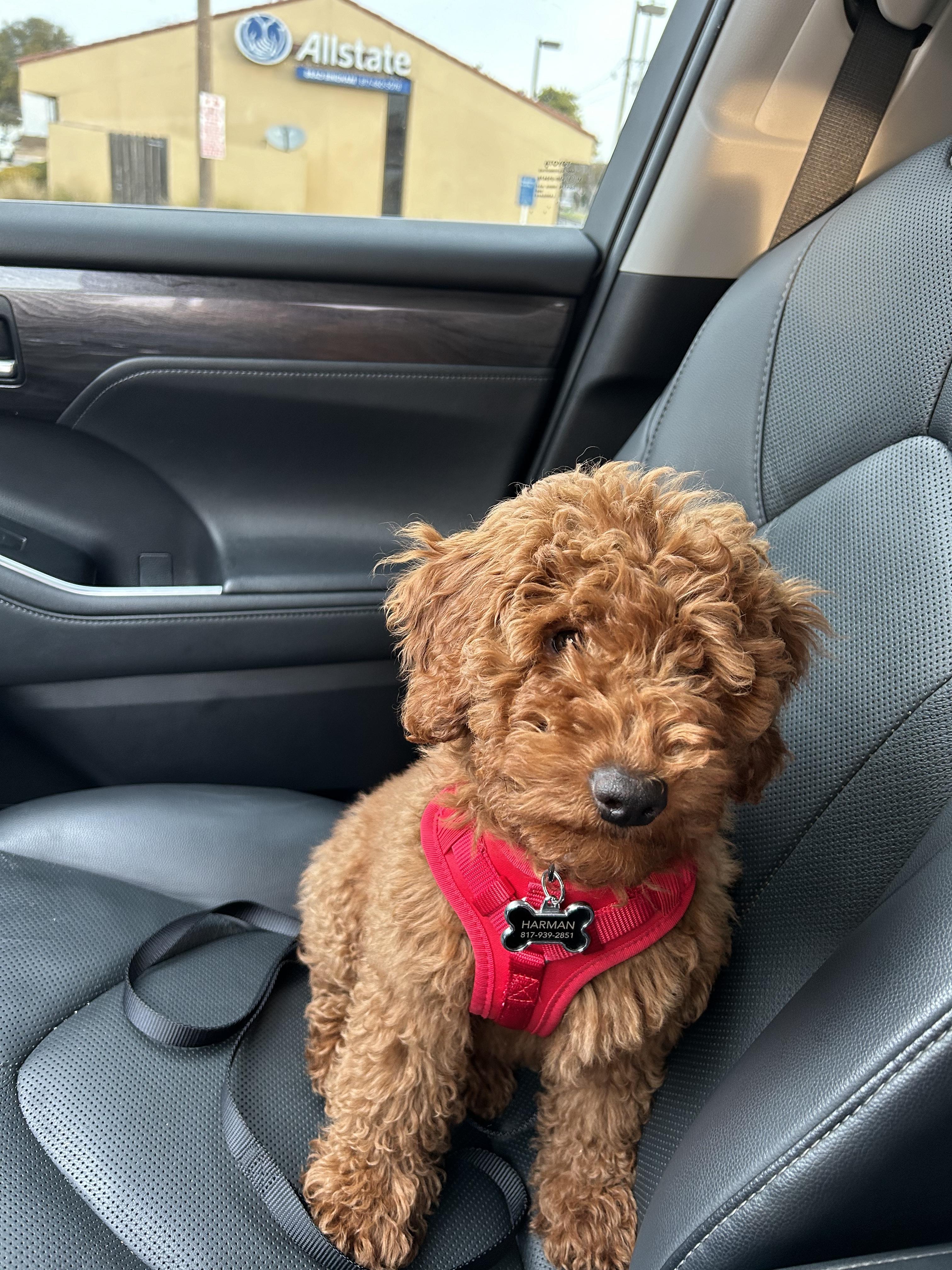 Ellie