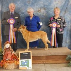 Chinook All Grown Up from Forever Greene Chinooks