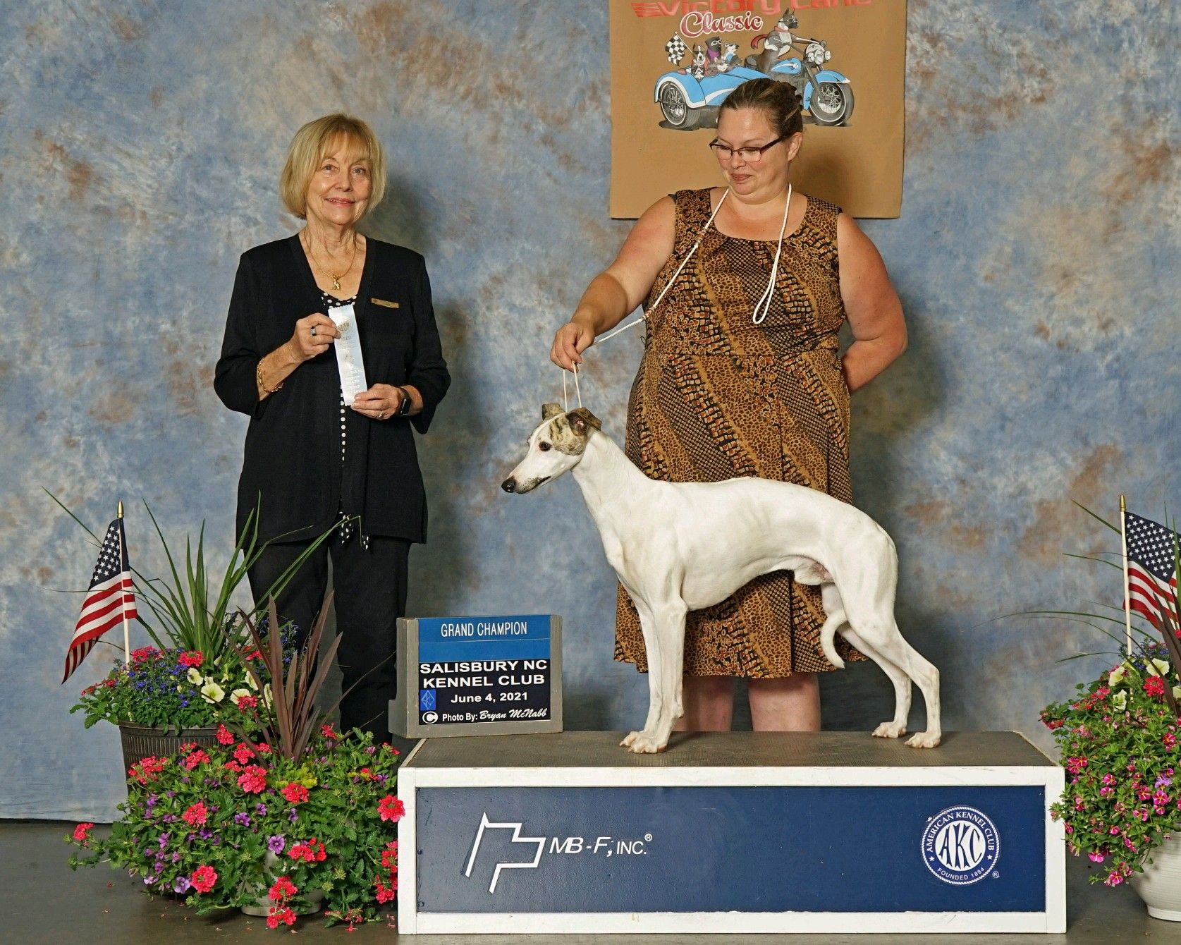 RAJOPA WHIPPETS in Virginia Whippet puppies Good Dog