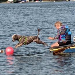 Portuguese Water Dogs from Bayswater Portuguese Water Dogs