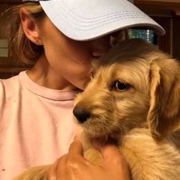 Double Doodle and Goldendoodle Puppies from Badgerland Goldendoodles