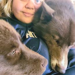 Siberian Huskies from Winters Siberians