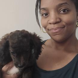 Bear - Brown male Cavapoo puppy in Virginia Beach, Virginia from Jenn's Dog Boarding & Daycare
