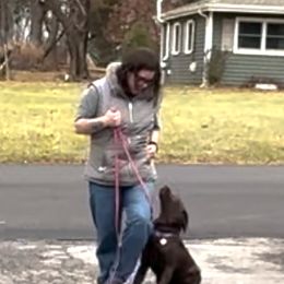 Labrador Retriever Puppies from Rose Gold Retrievers