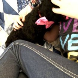 Poodle Puppies from Family Standards Texas