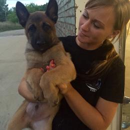 Belgian Malinois, Border Collie, and German Shepherd Puppies from Fairlane Kennels