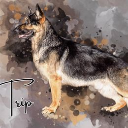 Trip - German Shepherd