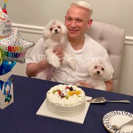 Maltese Puppies from Little Sweetheart Puppies