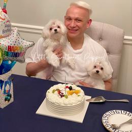 Maltese Puppies from Little Sweetheart Puppies