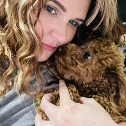 Poodle Puppies from Poodles of Tampa Bay