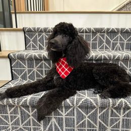 Aussiedoodle, Cavapoo, and Poodle All Grown Up from B&M Cottonwood Canines