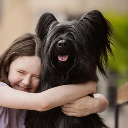 Skye Terriers from Anamchara Skye Terriers