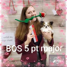 Chihuahua Puppies from Country Charm Chihuahuas