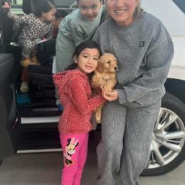 Goldendoodle Puppies from ENC Goldendoodles