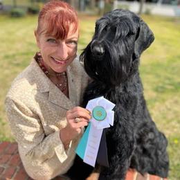 Giant Schnauzer puppies from Jordan Giants
