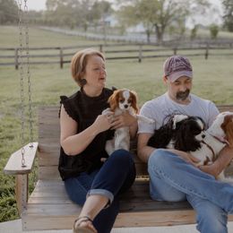 Cavalier King Charles Spaniel Puppies from Farmwood Cavaliers