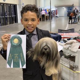 Lhasa Apso, Maltese, and Poodle All Grown Up from Toy Poodle and Maltese Perfection