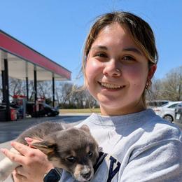 Jamie - Gray and white female American Corgi puppy in Shawnee, Oklahoma from Sunray Ranch