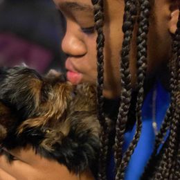 Yorkshire Terrier Puppies from Wendy's Yorkies