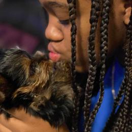 Yorkshire Terrier Puppies from Wendy's Yorkies