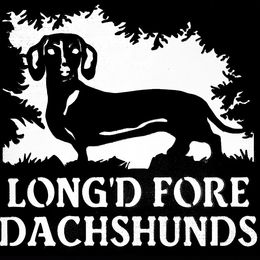 Dachshund puppies from Long'd Fore Dachshunds
