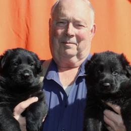 German Shepherd puppies from Bahr-S German Shepherds